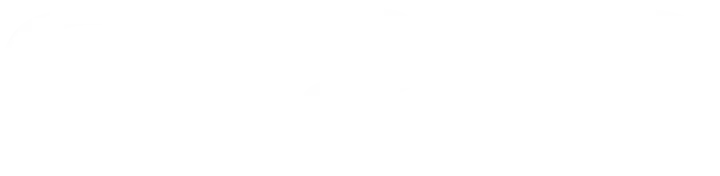 Capital Regional District Logo in White