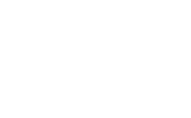 Dillon Consulting Logo in White
