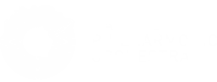 Hamilton Philharmonic Orchestra Logo in White