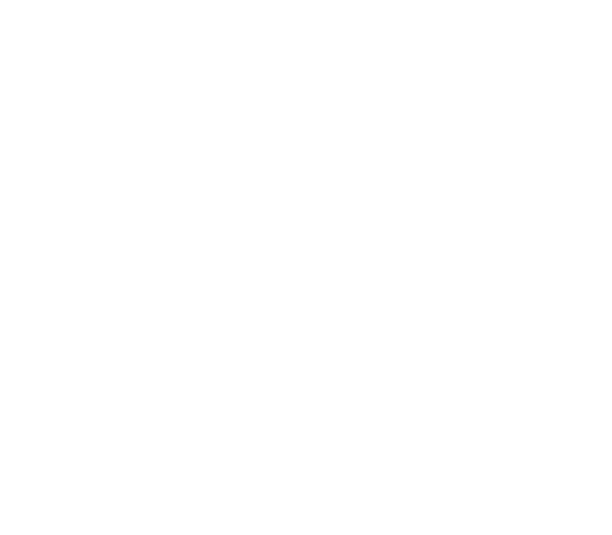 Lipman Zener & Waxman Logo in White