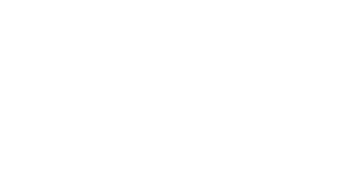 Pace_logo_white