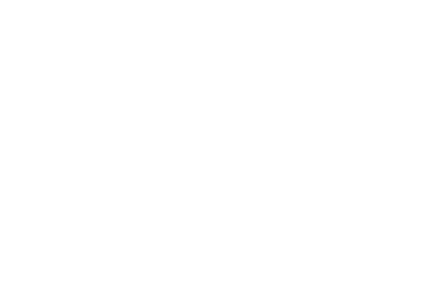 Rye Park Manor Logo in White