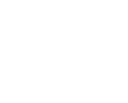 Strigberger Brown Armstrong LLP Logo in White