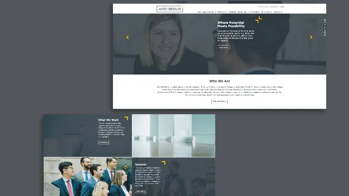 Aird Berlis_Web design_Website development_Student page design_Microsite
