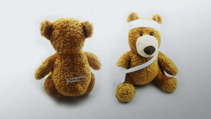 Bergmanis Preyra LLP_Brand Positioning and Awareness Campaign_Bear Giveaway