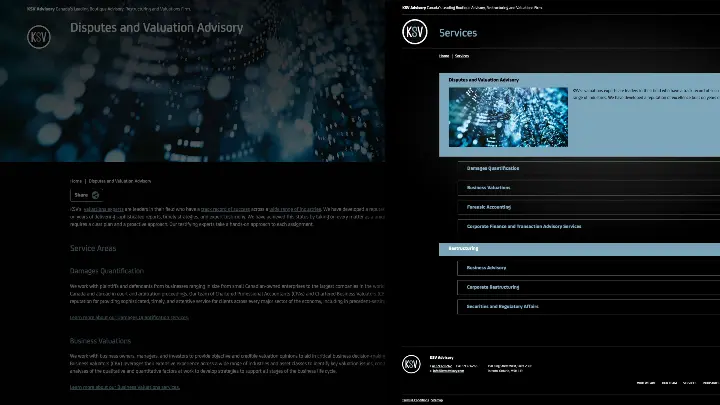 KSV_Website Development_Services