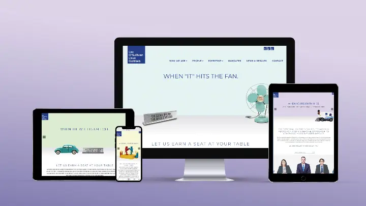 Lax O Sullivan Lisus Gottlieb LLP_LOLG_Web design_Website development_Home page design