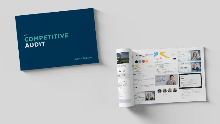 visual-audit
