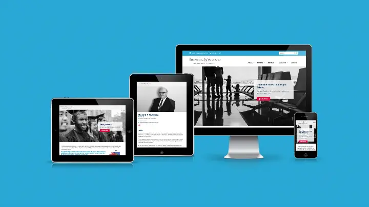 Robert William Young Associate_Web Design_Website development