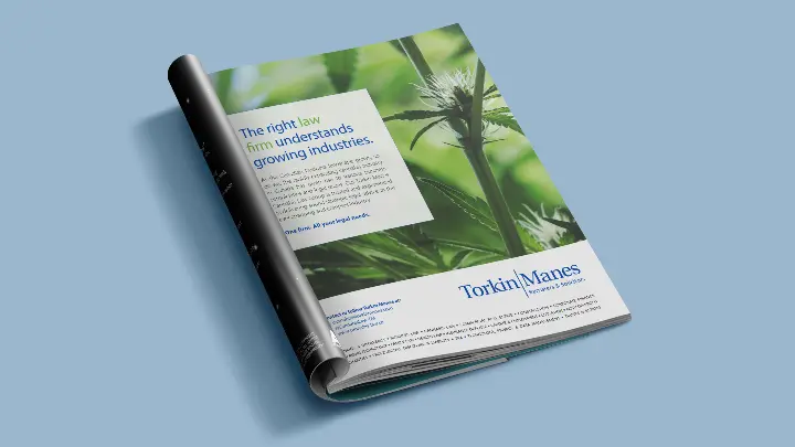 Torkin Manes_Advertising campaign_Magazine ad 2