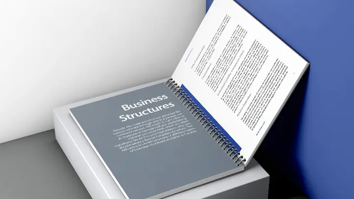 Torkin Manes_Brochure design_Inside view