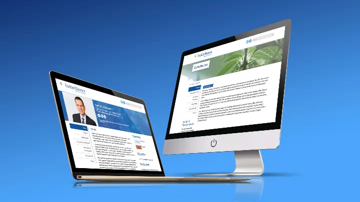 Torkin Manes_Microsite_Web design_Website development_Cannabis